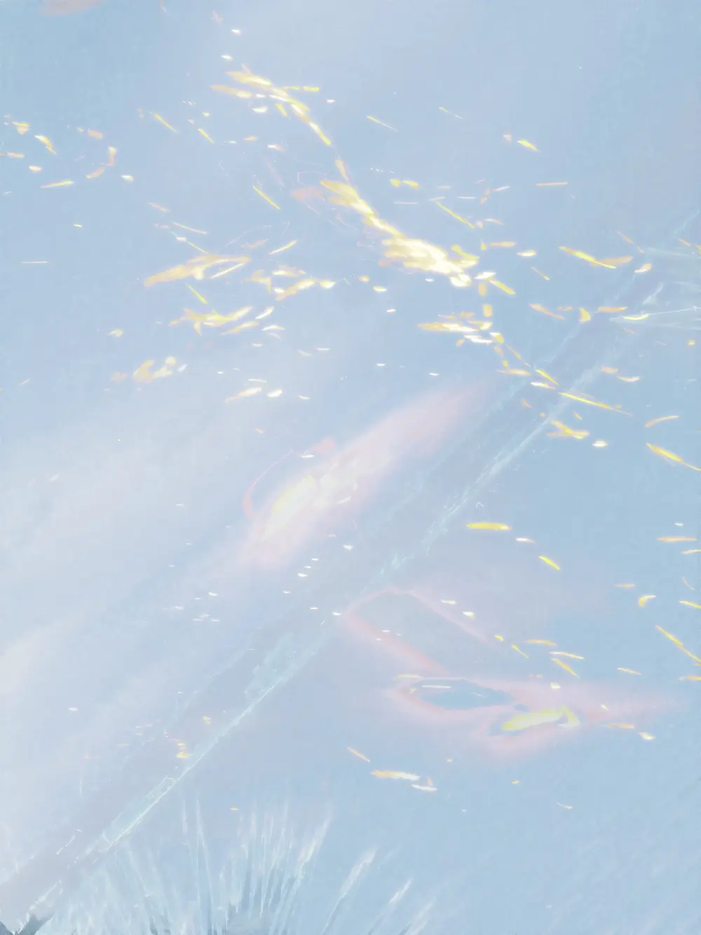Crown of Sparks