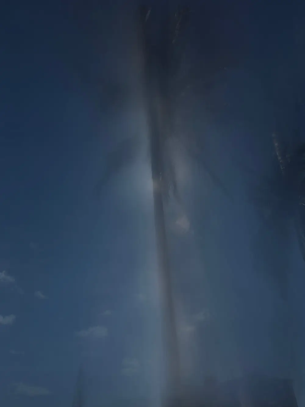 Delray Palm Drift