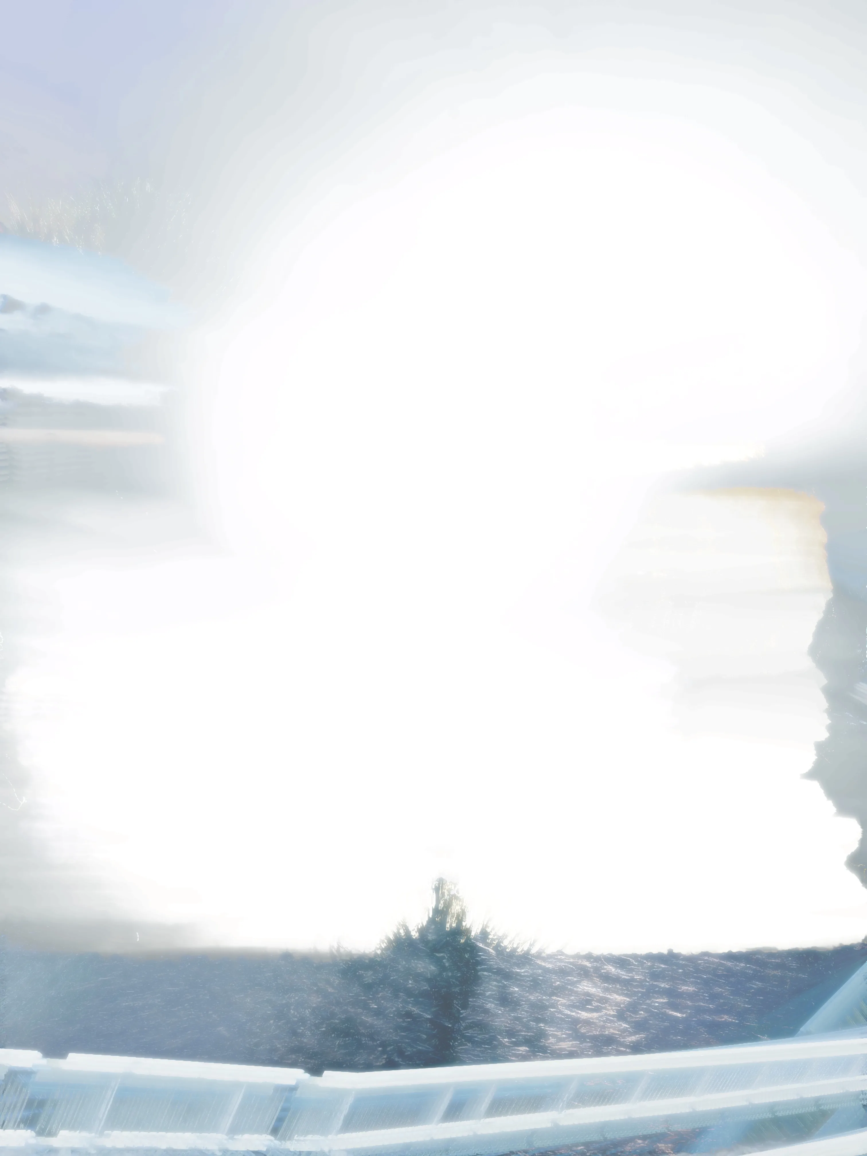 Rose Cloud Passing